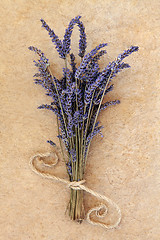 Image showing Lavender Flowers