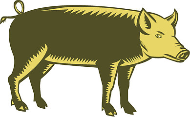 Image showing Tamworth Pig Side Woodcut