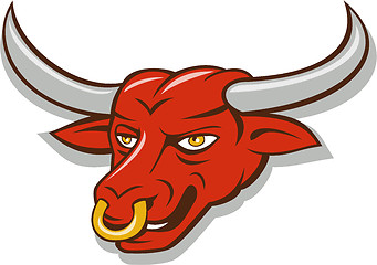 Image showing Texas Longhorn Red Bull Head Cartoon