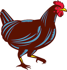 Image showing Chicken Hen Walking Side Woodcut