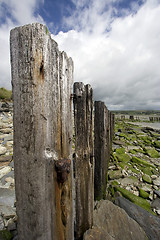 Image showing Irish beach