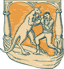 Image showing Kangaroo Boxing Man Etching