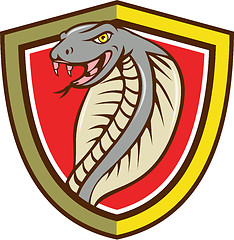 Image showing Cobra Viper Snake Head Attacking Shield Cartoon