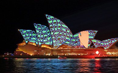 Image showing Hand grabbing pattern Sydney Opera House Vivid