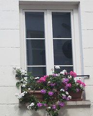 Image showing Beautiful window in Paris