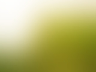 Image showing Green and White nature blur background