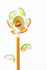 Image showing pencil flower on white