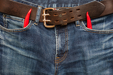 Image showing devil fashion jeans