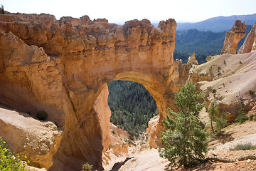 Image showing Bryce Canyon National Park, Utah