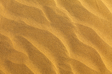 Image showing Sandy pattern