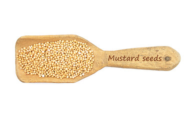 Image showing Mustard seeds on shovel