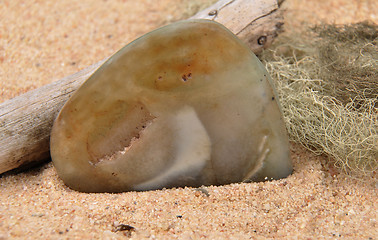 Image showing Agate on beach