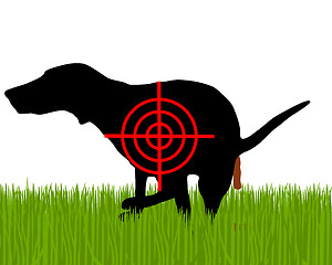 Image showing Aim at dogs crapping