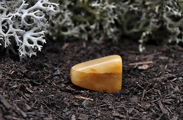 Image showing Orange calcite on forest floor