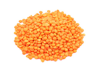 Image showing Red lentils on white