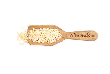 Image showing Almonds on shovel