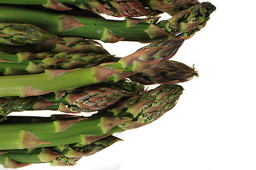 Image showing green asparagus isolated