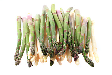 Image showing green asparagus isolated