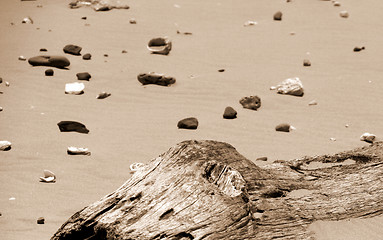 Image showing On the Beach