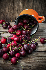 Image showing juicy and fresh berries 