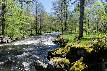 Image showing Kungsbacka river