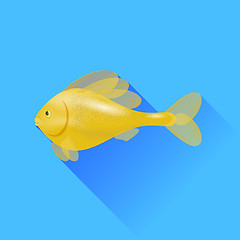 Image showing Gold Fish