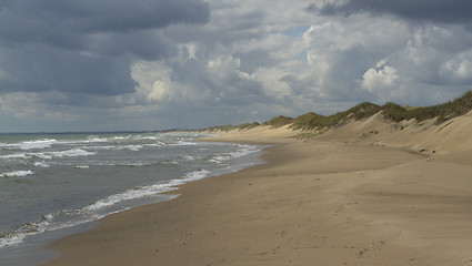 Image showing Coastline