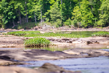 Image showing scenes around landsford canal state park in south carolina