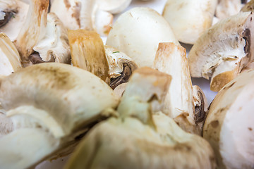 Image showing raw sliced mushrooms ready for grilling