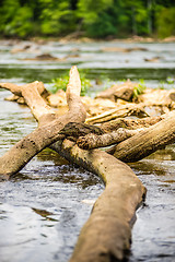 Image showing scenes around landsford canal state park in south carolina