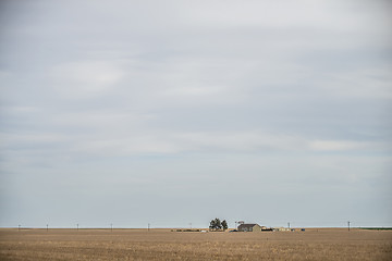 Image showing spring farmland before sunset on a cloudy day