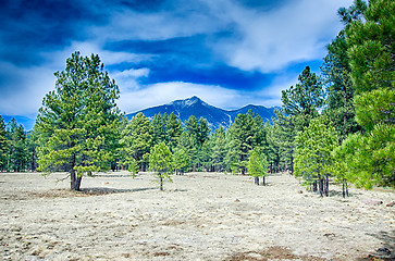 Image showing Scenic desert landscape with Humphreys Peak seen in the distance