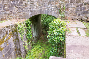 Image showing scenes around landsford canal state park in south carolina