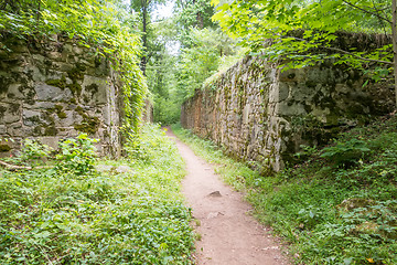 Image showing scenes around landsford canal state park in south carolina