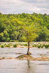 Image showing scenes around landsford canal state park in south carolina