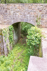 Image showing scenes around landsford canal state park in south carolina