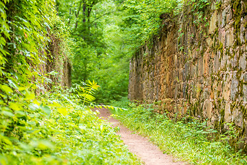 Image showing scenes around landsford canal state park in south carolina