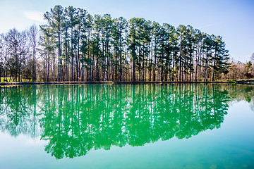 Image showing evergreens reflecting in a pond in spring on a sunny day