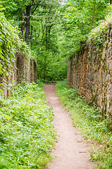 Image showing scenes around landsford canal state park in south carolina