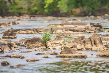 Image showing scenes around landsford canal state park in south carolina