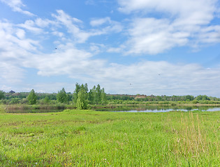 Image showing summer landscape