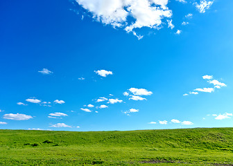 Image showing summer landscape