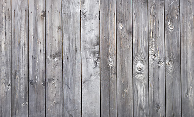 Image showing wood texture