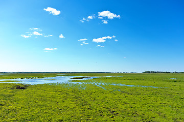 Image showing summer landscape