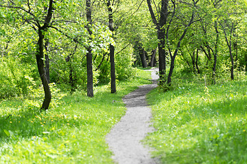 Image showing park path