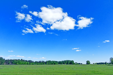 Image showing summer landscape