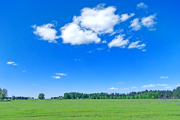 Image showing summer landscape