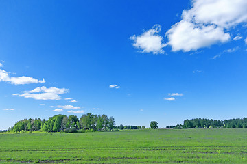 Image showing summer landscape