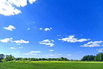 Image showing summer landscape