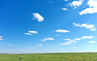 Image showing summer landscape